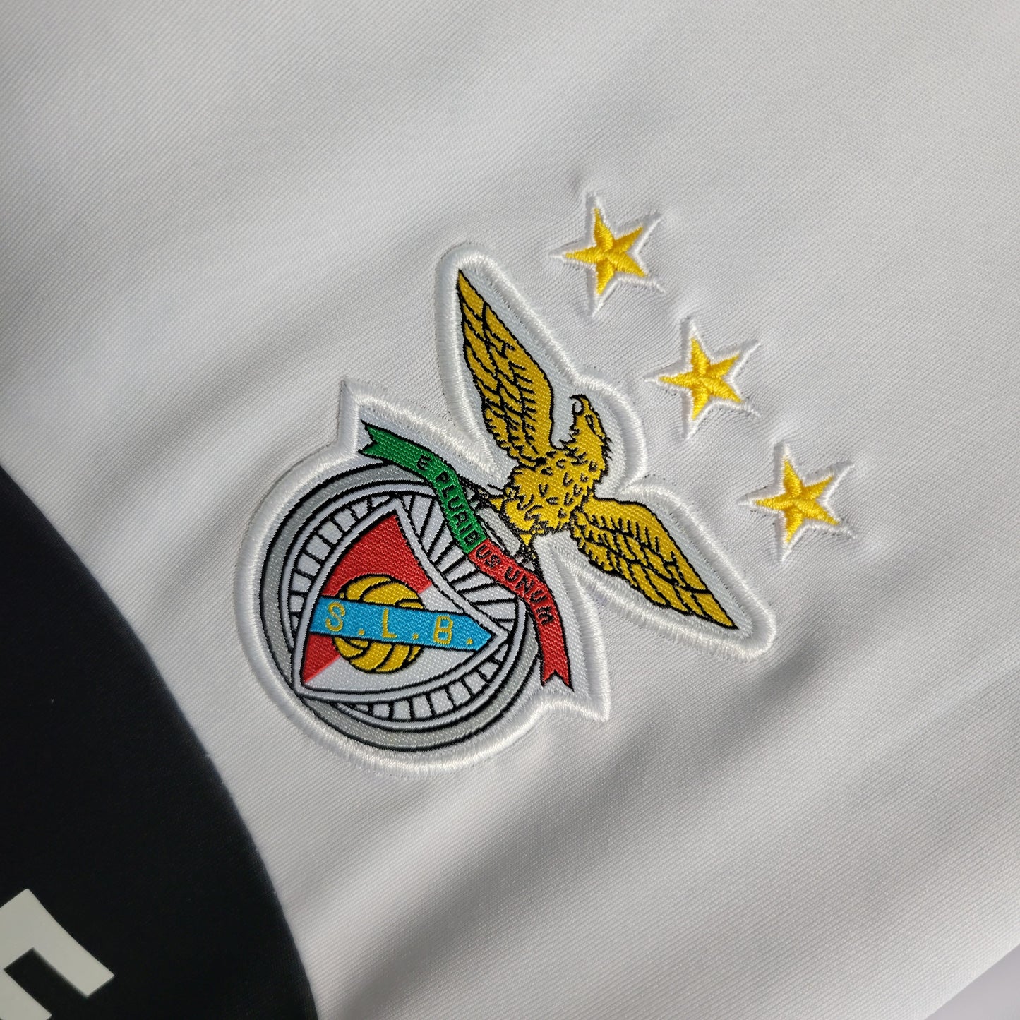 Camiseta Benfica Alternativa 2013/14